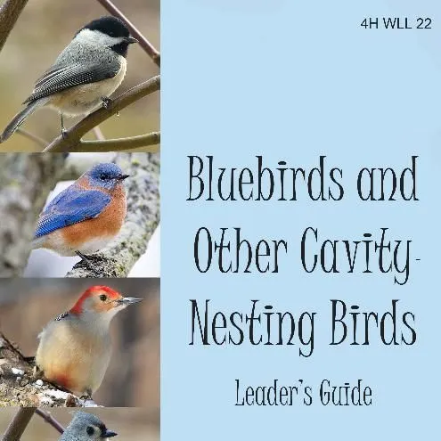 thumbnail for publication: Bluebirds and Other Cavity-Nesting Birds: Leader's Guide
